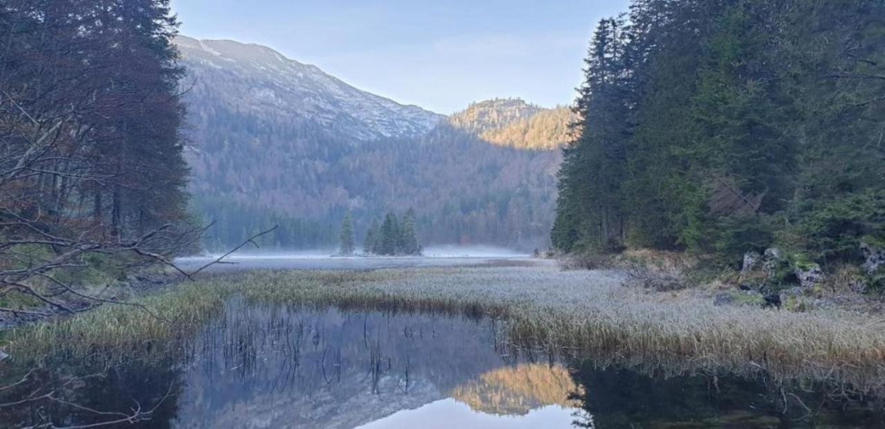 Ledererhof Lunz Am See Exteriör bild