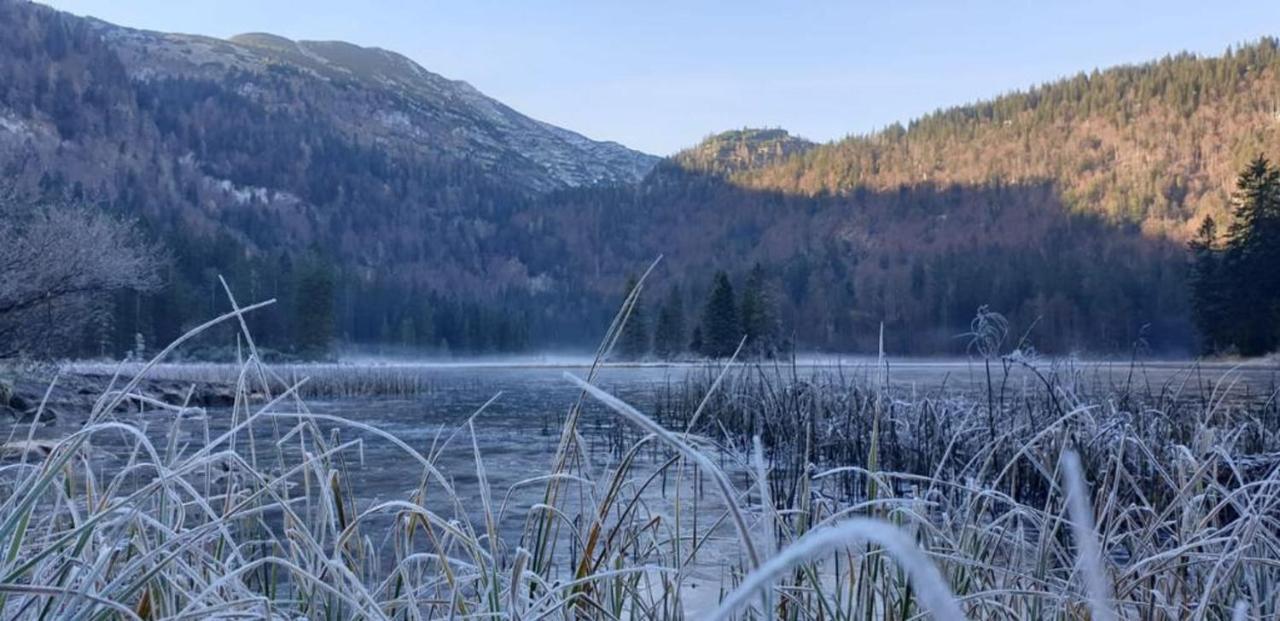 Ledererhof Lunz Am See Exteriör bild